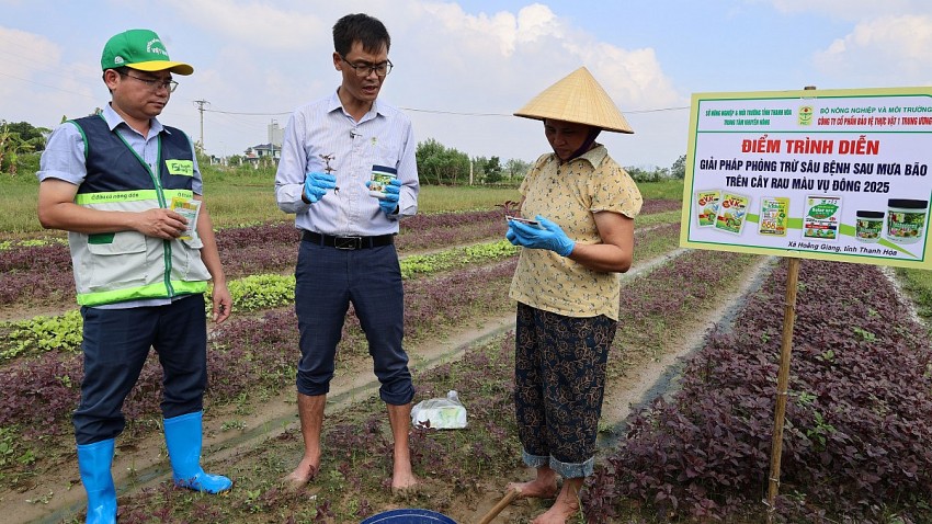 Người nông dân sẽ được cán bộ Trung tâm khuyến nông hướng dẫn trực tiếp cách sử dụng, pha chế, liều lượng thuốc để phục hồi cây bị ngập sau mưa bão. 