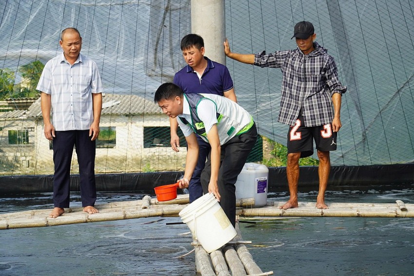 Cán bộ Trung tâm khuyến nông hướng dẫn cho nông dân sử dụng chế phẩm sinh học xử lý ao nuôi tôm tại xã Hoằng Châu.