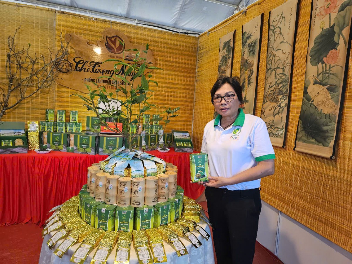 Hội thi trưng bày 
