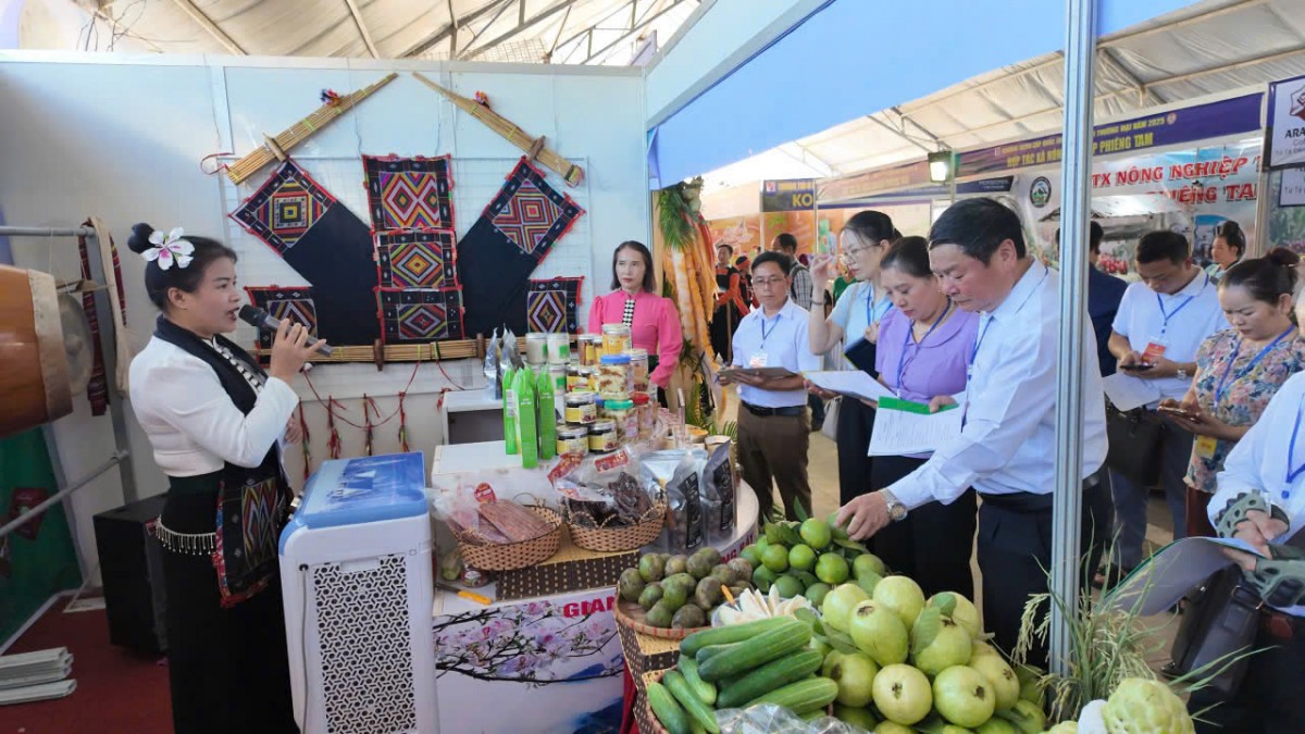 Hội thi trưng bày 