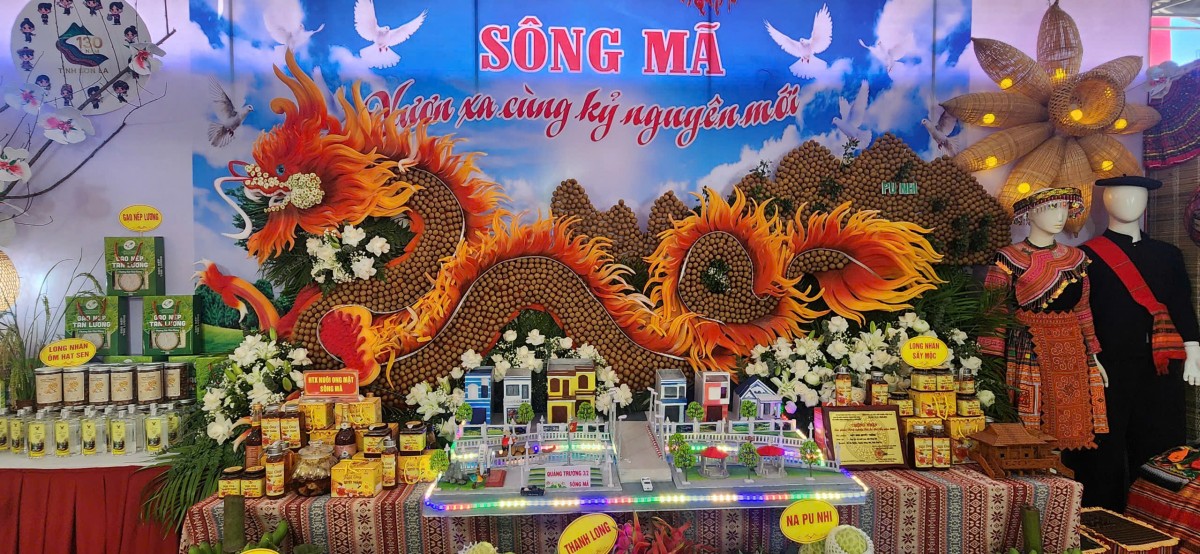 Hội thi trưng bày 