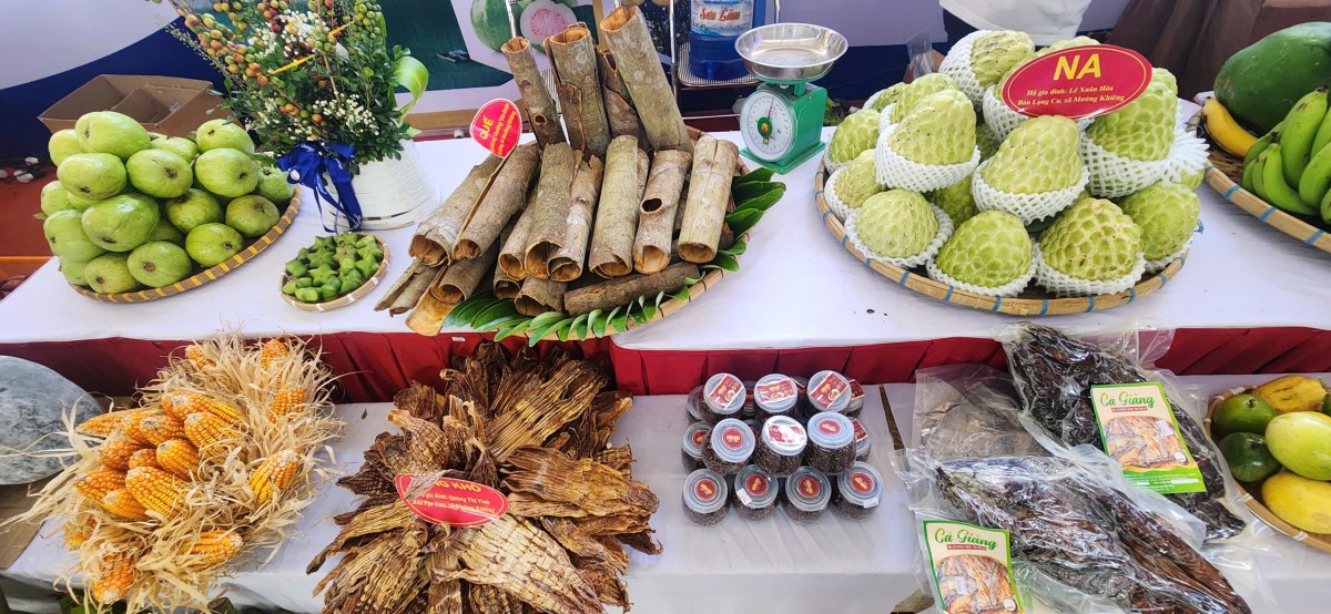 Hội thi trưng bày 