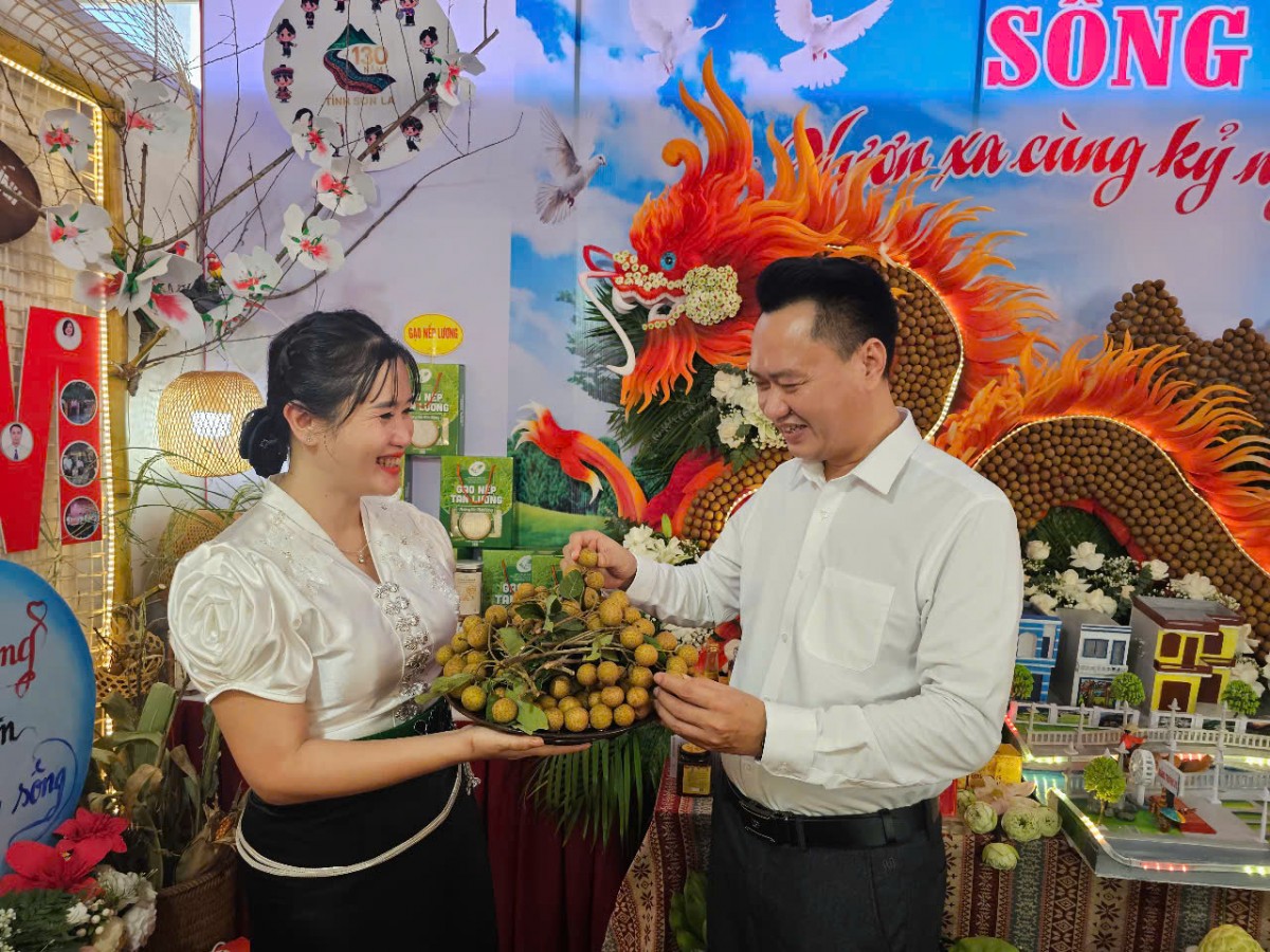 Hội thi trưng bày 
