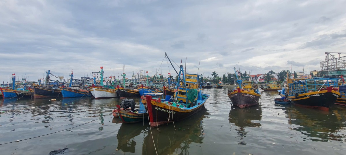 Gia Lai ứng phó với lệnh cấm nhập khẩu thủy sản Hoa Kỳ