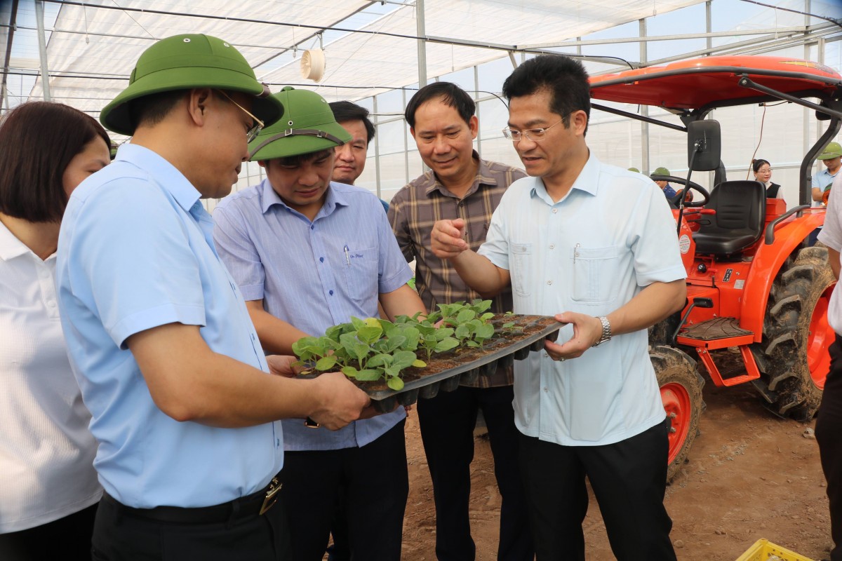 Ninh Bình: Lãnh đạo tỉnh kiểm tra tình hình sản xuất vụ Mùa và triển khai sản xuất vụ Đông Xuân