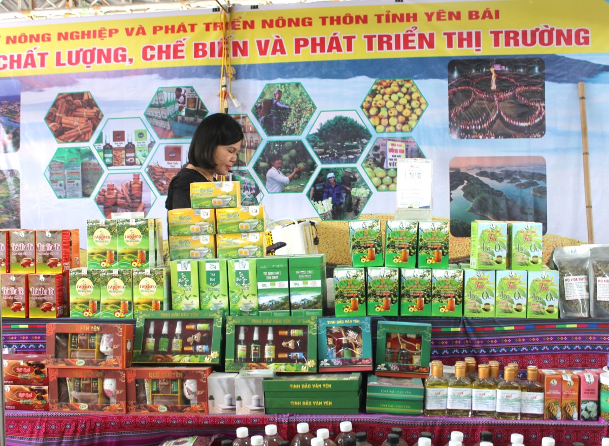 Doanh nghiệp, HTX và Nông dân: 