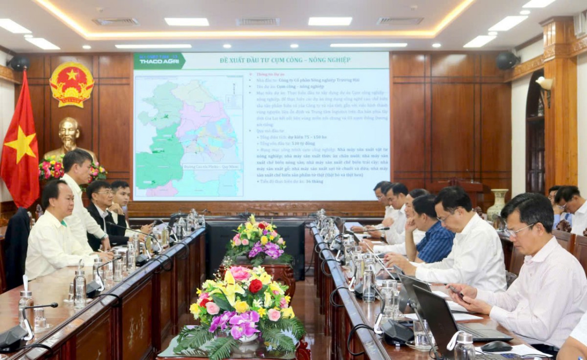 Chủ tịch Gia Lai làm việc với Công ty Cổ phần Nông nghiệp Trường Hải