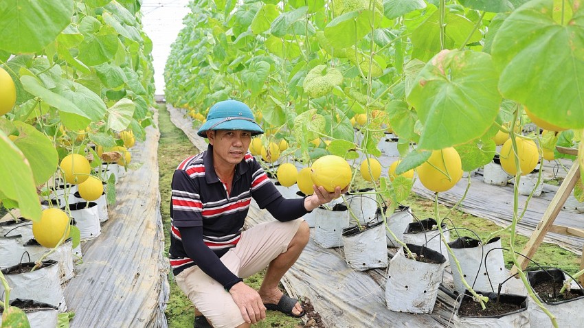 ông Lê Văn Hoàn, Kiểm soát viên HTX Thiệu Hưng 