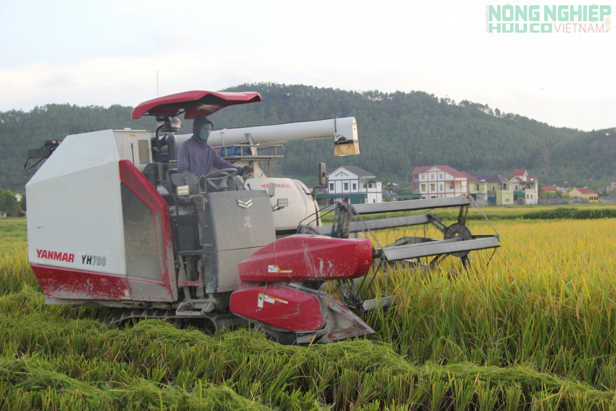 Nghệ An: Đại hội Đại biểu Hội Nông dân xã Bình Minh lần thứ I, nhiệm kỳ 2025 - 2030