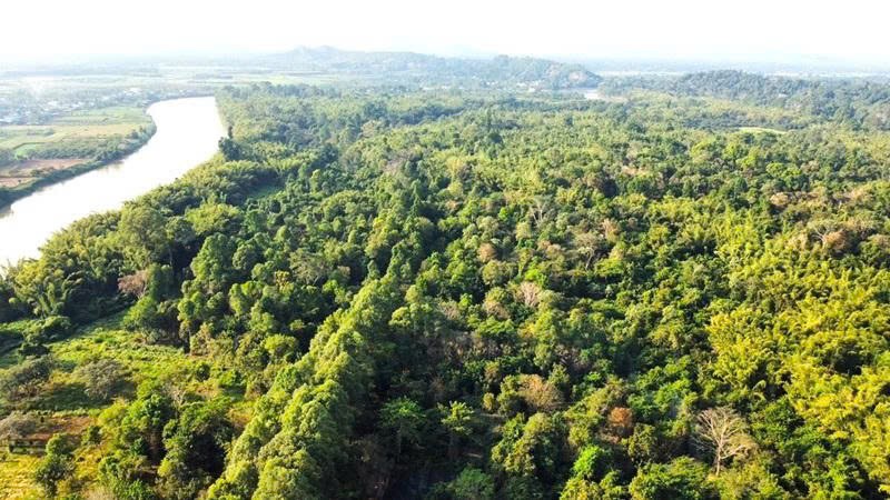 Lâm Đồng: Yêu cầu cập nhật diễn biến rừng năm 2025