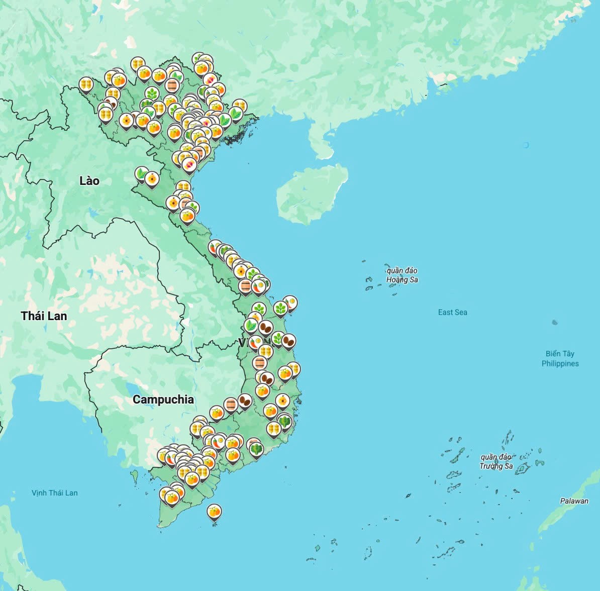 Hà Nội chuẩn bị đón tuần lễ Nông sản Việt 2025 - “Sắc màu mới giữa lòng phố cổ”