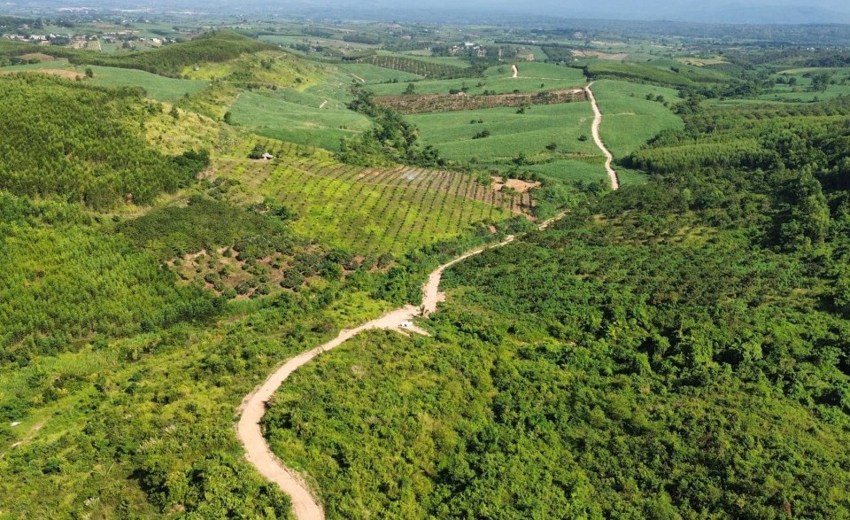 Gia Lai triển khai các giải pháp chống mất rừng và suy thoái rừng