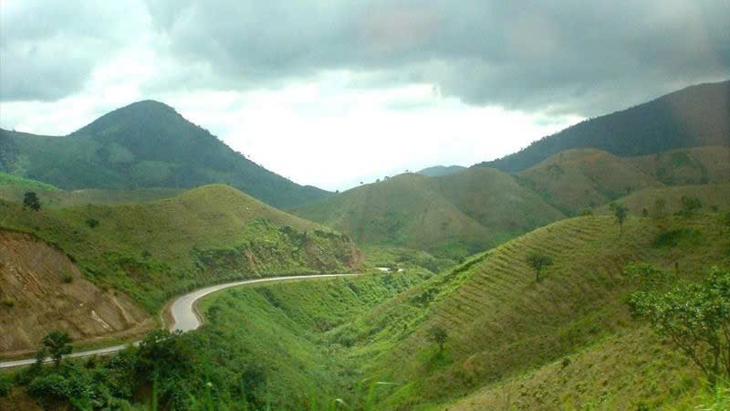 Khánh Hoà: Tăng cường công tác quản lý, bảo vệ rừng và đất rừng trên địa bàn tỉnh