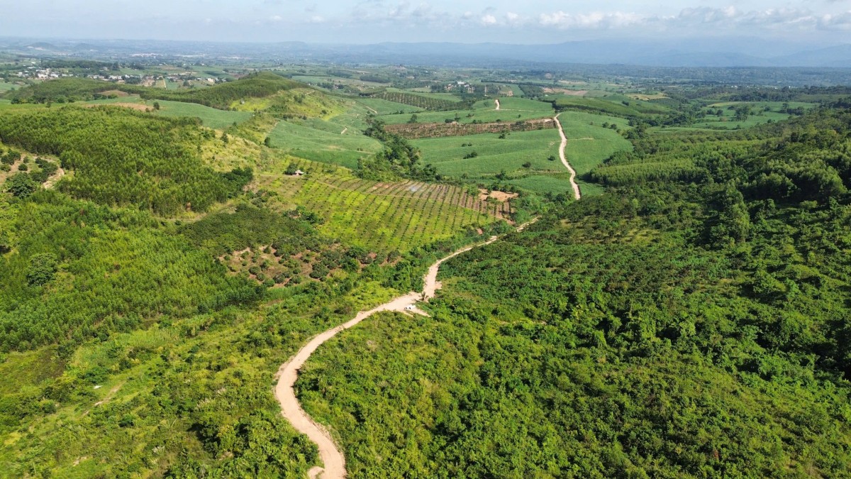 Gia Lai triển khai các giải pháp chống mất rừng và suy thoái rừng