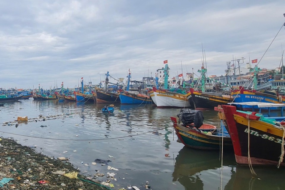 Gia Lai: Hơn 4,4 tỷ đồng hỗ trợ ngư dân chưa đủ điều kiện khai thác thủy sản