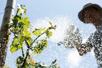 Nước sạch là nền tảng cho sức khỏe cộng đồng và nông nghiệp xanh