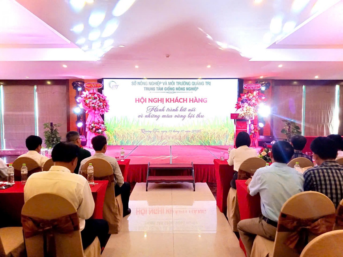 Quảng Trị: Giới thiệu các giống lúa cho vụ Đông - Xuân