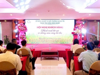 Quảng Trị: Giới thiệu các giống lúa cho vụ Đông - Xuân