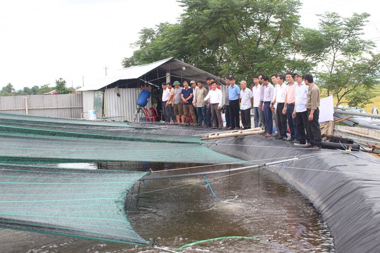 Quảng Trị: Đa dạng hoá các mô hình nuôi trồng thuỷ hải sản