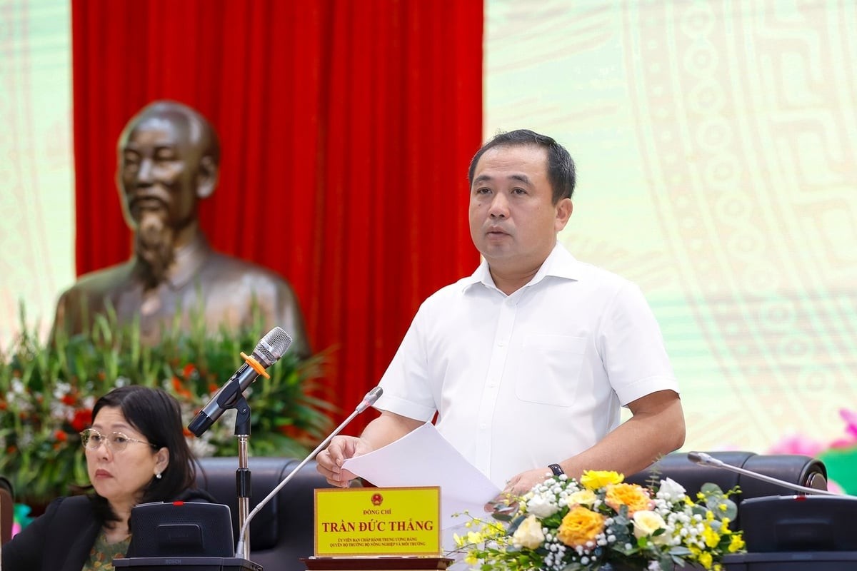 Tập trung cao độ, nêu cao tinh thần chủ động, đảm bảo hoàn thành kế hoạch năm 2025