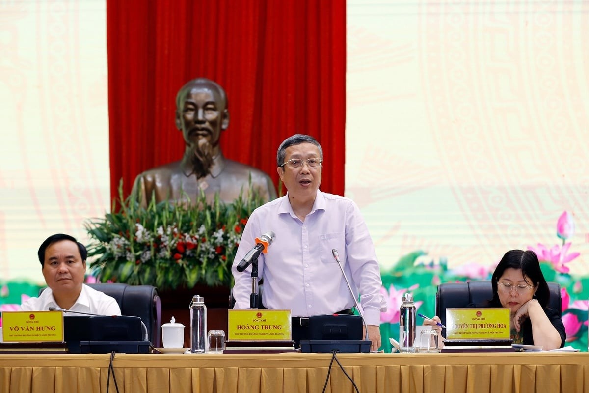 Tập trung cao độ, nêu cao tinh thần chủ động, đảm bảo hoàn thành kế hoạch năm 2025