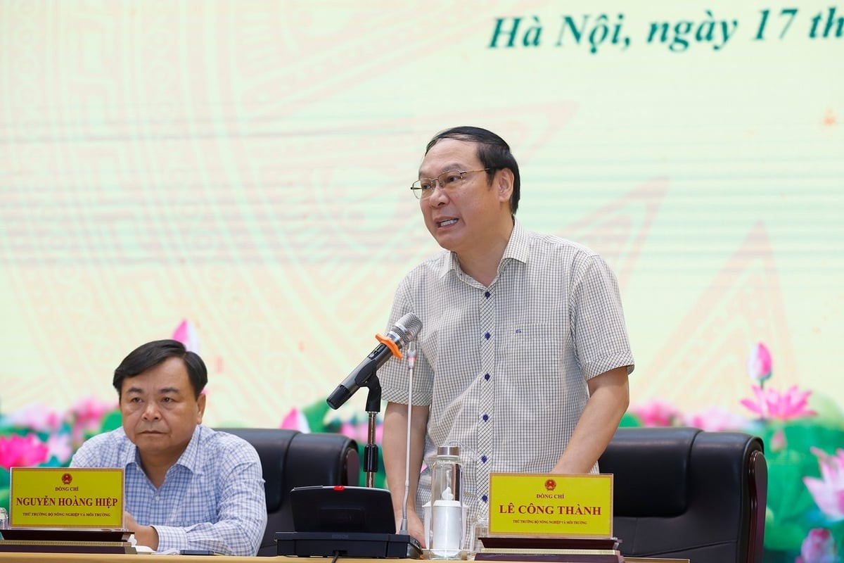 Tập trung cao độ, nêu cao tinh thần chủ động, đảm bảo hoàn thành kế hoạch năm 2025