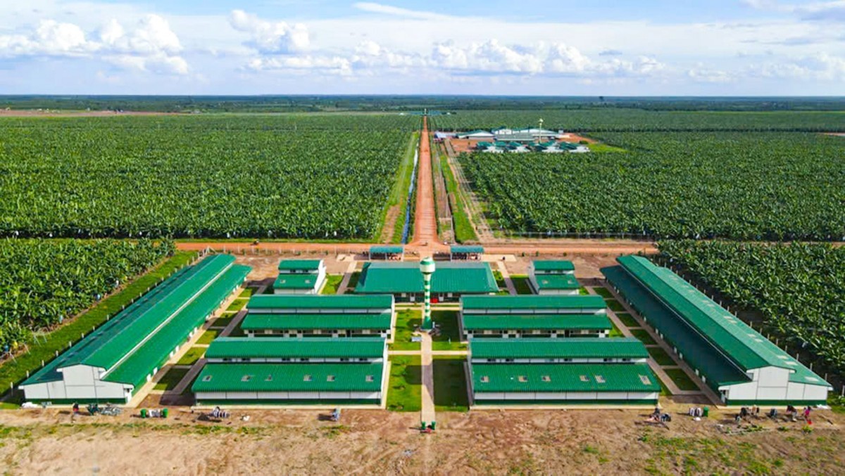 Điểm qua thành tựu sản xuất Nông nghiệp Hữu cơ ở Việt Nam