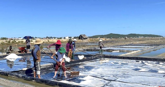 Quảng Ngãi không nâng tầm được thương hiệu. Xác định được rào cản này, trong nhiều năm nay, địa phương đã tìm cách hỗ trợ cho người dân làm muối để từng bước xây dựng thương hiệu muối Sa Huỳnh.