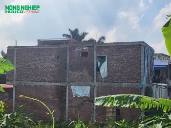 Hậu quả và trách nhiệm pháp lý việc xây dựng trái phép trên đất nông nghiệp tại Kiến An Tp. Hải Phòng