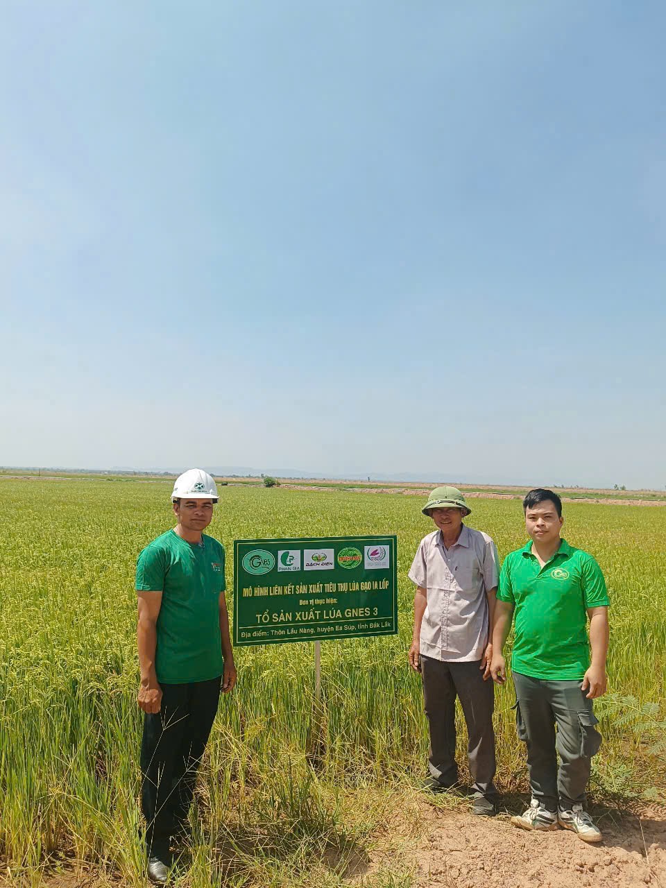 Đồng hành giúp dân vùng biên giới làm giàu nhờ trồng lúa theo phương pháp hữu cơ