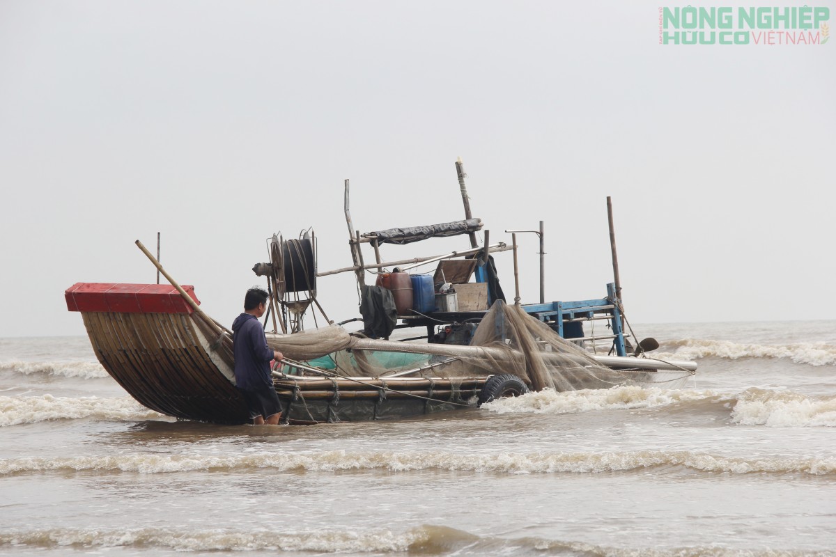 Ra khơi săn ruốc từ 3h sáng, ngư dân kiếm tiền triệu mỗi ngày