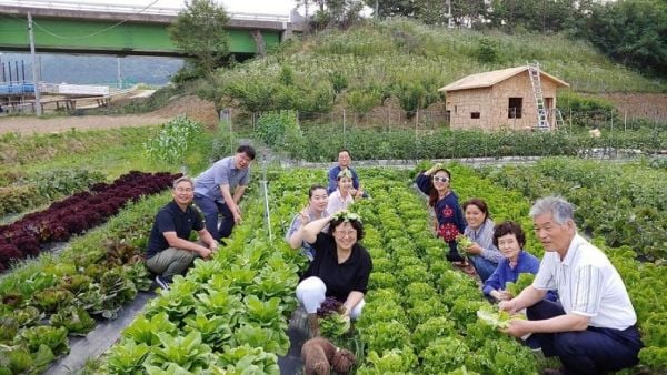 Những nguyên tắc về sức khỏe trong sản xuất nông nghiệp hữu cơ