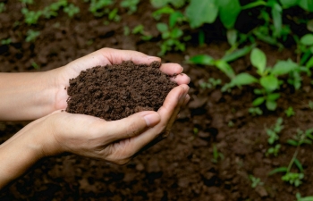 Phân bón vi sinh: Hướng đi mới cho nền nông nghiệp xanh Phân bón vi sinh: Hướng đi mới cho nền nông nghiệp xanh