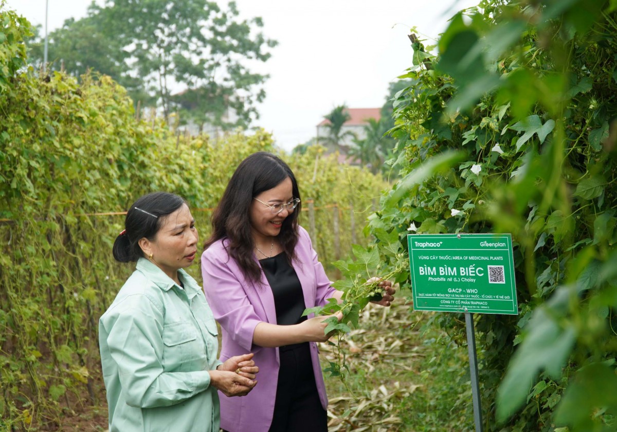 Đông dược và tân dược chung mục tiêu 