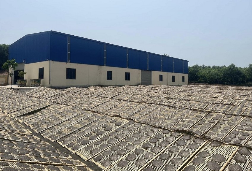 Hà Tĩnh: Chủ động nguồn cung sản phẩm OCOP cho thị trường cuối năm