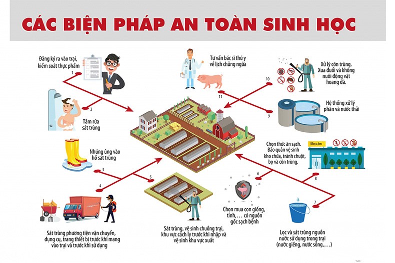 An toàn sinh học: “Khóa chặt” rủi ro dịch bệnh để giữ nhịp tăng trưởng chăn nuôi