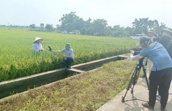 giam phat thai trong linh vuc trong trot bai cuoi truyen thong dan dat va lan toa tri thuc phat trien nong nghiep xanh