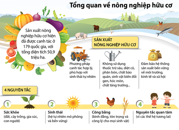 Nguyên tắc về sự công bằng: Xây dựng một hệ thống bền vững và nhân văn trong sản xuất hữu cơ Nguyên tắc về sự công bằng: Xây dựng một hệ thống bền vững và nhân văn trong sản xuất hữu cơ