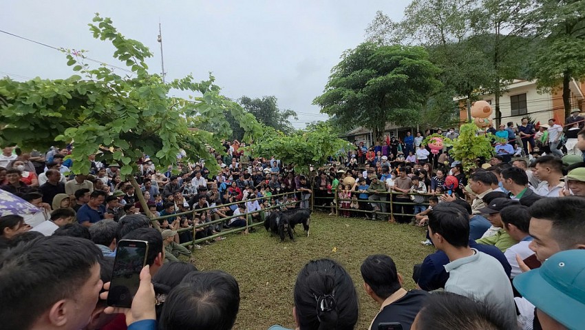 Lào Cai: Rộn ràng Ngày hội Văn hóa các dân tộc xã Lâm Thượng Lào Cai: Rộn ràng Ngày hội Văn hóa các dân tộc xã Lâm Thượng