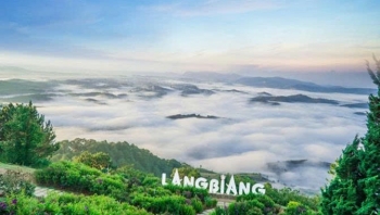 Phê duyệt Kế hoạch quản lý và bảo vệ môi trường Khu dự trữ sinh quyển thế giới Langbiang