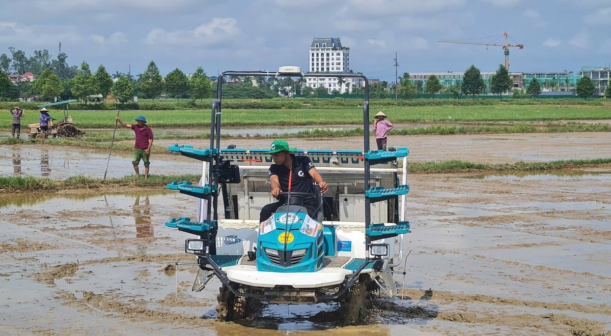 Ứng dụng công nghệ để nâng cao chất lượng nông sản xứ Nghệ Ứng dụng công nghệ để nâng cao chất lượng nông sản xứ Nghệ