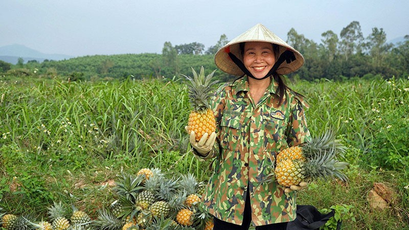 Ứng dụng công nghệ để nâng cao chất lượng nông sản xứ Nghệ Ứng dụng công nghệ để nâng cao chất lượng nông sản xứ Nghệ