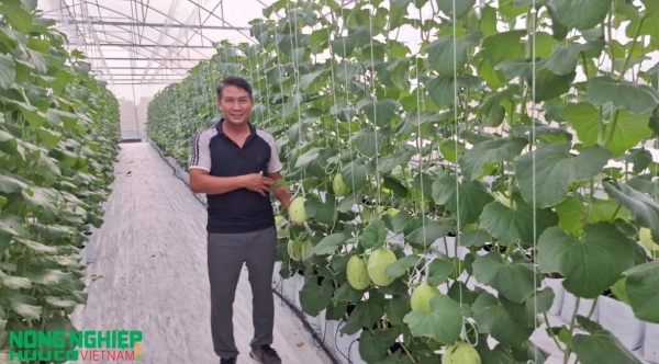 Hải Phòng: Nông sản hữu cơ ngày càng được quan tâm Hải Phòng: Nông sản hữu cơ ngày càng được quan tâm