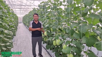 Hải Phòng: Nông sản hữu cơ ngày càng được quan tâm