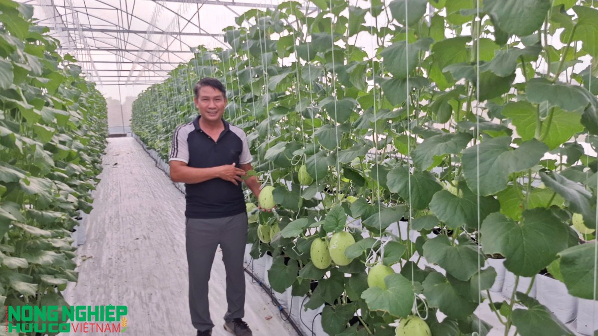 Nông sản hữu cơ ngày càng được quan tâm tại thị trường Hải Phòng Nông sản hữu cơ ngày càng được quan tâm tại thị trường Hải Phòng