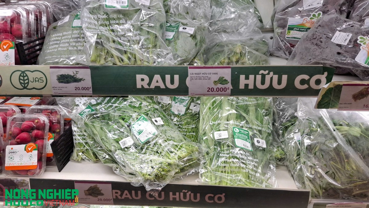 Nông sản hữu cơ ngày càng được quan tâm tại thị trường Hải Phòng Nông sản hữu cơ ngày càng được quan tâm tại thị trường Hải Phòng