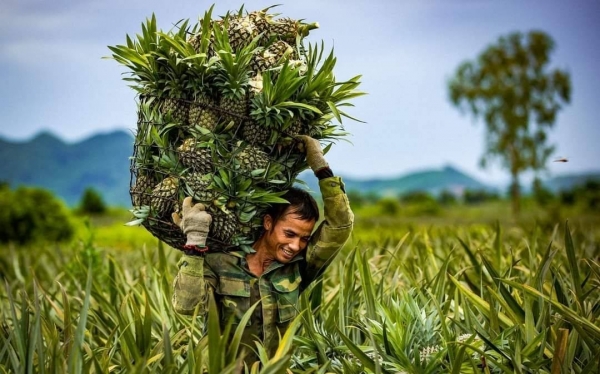 Ninh Bình đặt mục tiêu có thêm 20 sản phẩm OCOP được công nhận 3 sao trở lên trong năm 2025 Ninh Bình đặt mục tiêu có thêm 20 sản phẩm OCOP được công nhận 3 sao trở lên trong năm 2025