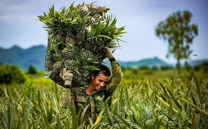 Ninh Bình đặt mục tiêu có thêm 20 sản phẩm OCOP được công nhận 3 sao trở lên trong năm 2025 Ninh Bình đặt mục tiêu có thêm 20 sản phẩm OCOP được công nhận 3 sao trở lên trong năm 2025