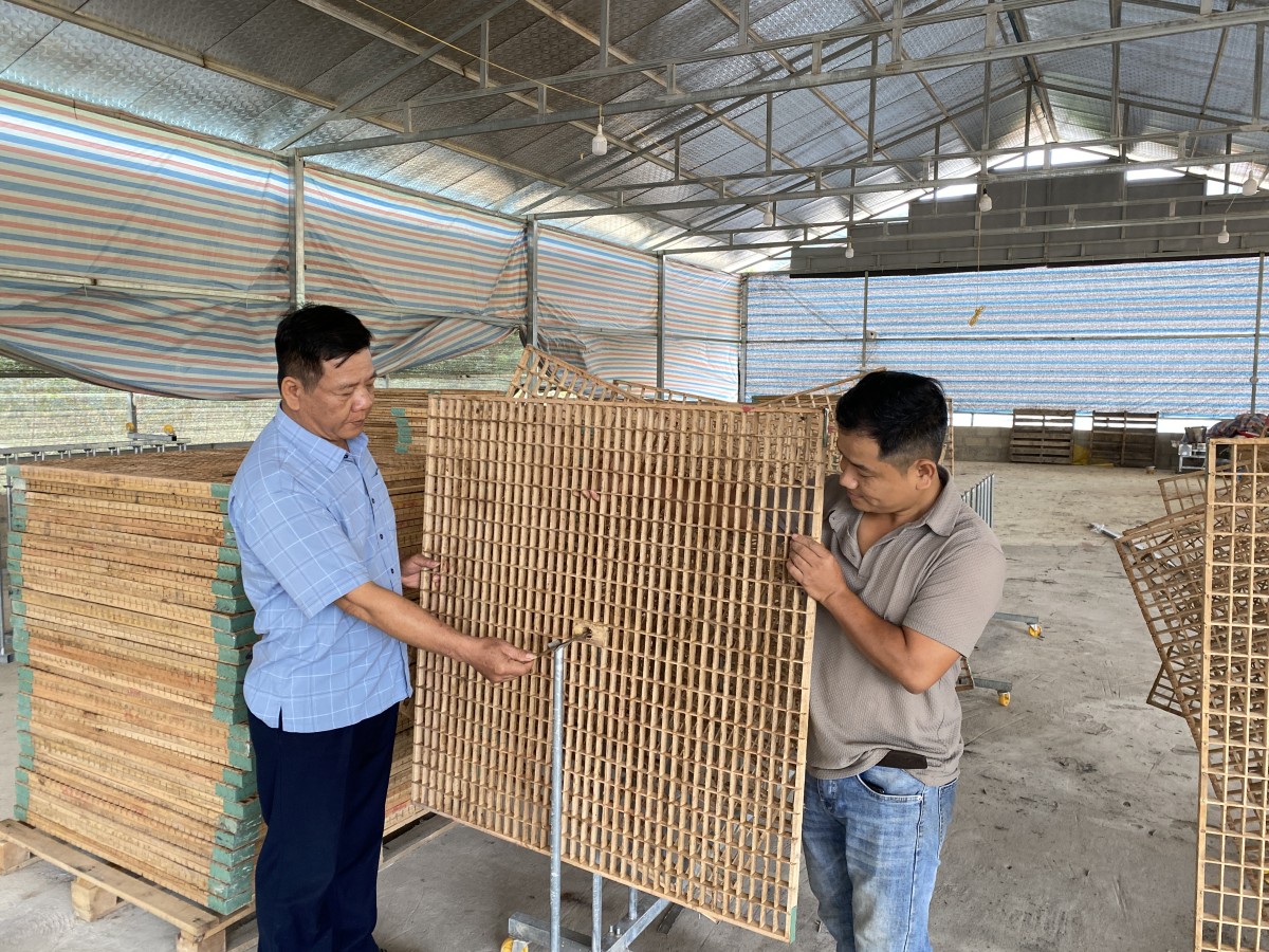 Hợp tác xã vùng biên khởi sắc từ cây dâu, con tằm Hợp tác xã vùng biên khởi sắc từ cây dâu, con tằm