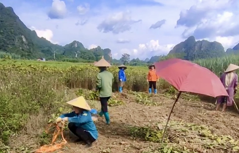 Hợp tác xã vùng biên khởi sắc từ cây dâu, con tằm Hợp tác xã vùng biên khởi sắc từ cây dâu, con tằm